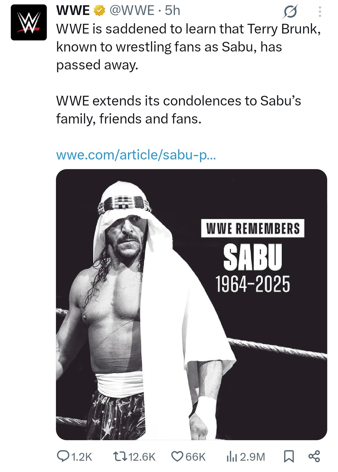 WWE confirms Sabu has passed away. Rest easy legend - meme