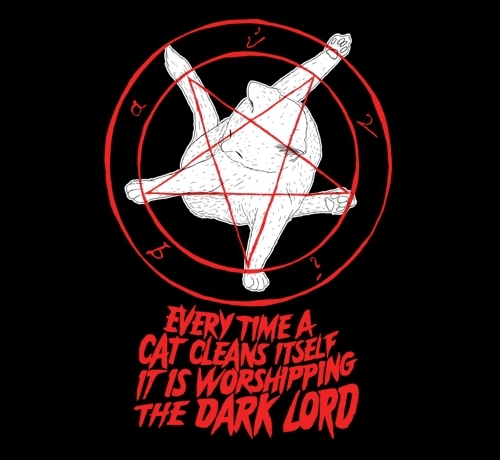 Cat's are evil. - meme