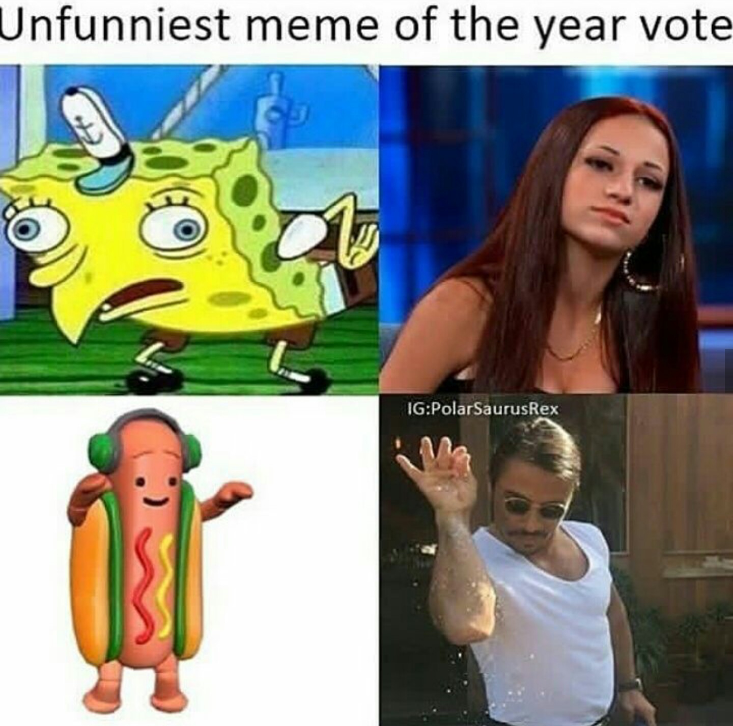 Vote - meme