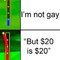 I'm not gay but $20 is $20