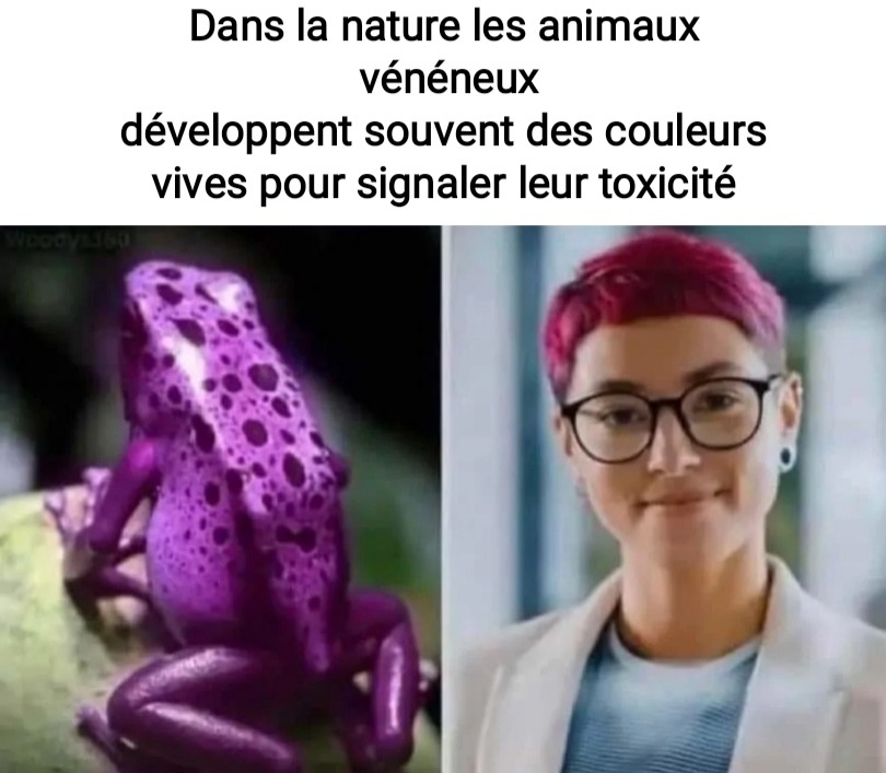 Naturelle - meme