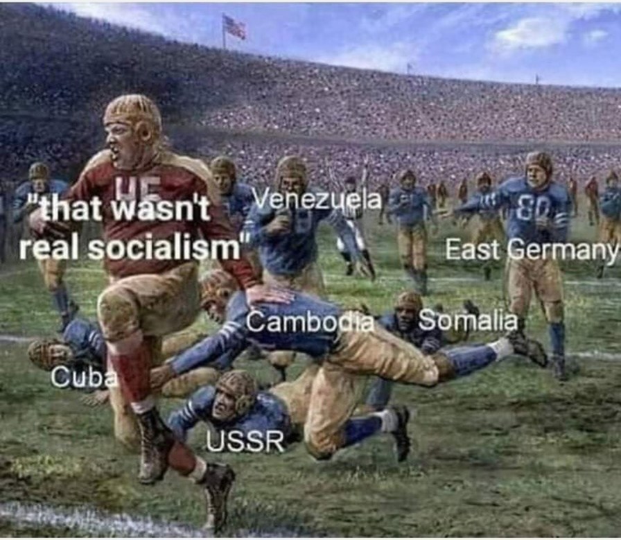 That wasn't real socialism - meme