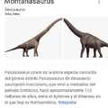 El género de dinosaurio en realidad es paluxysaurus, que es ampliamente aceptado como sinónimo de sauroposeidon. El chiste es que al estar esas dos imágenes juntas, parece una montaña.