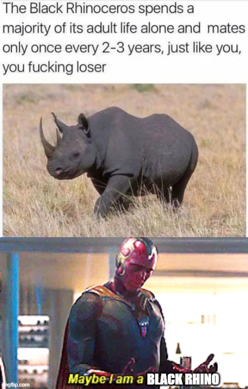 Am I a black rhino? - meme