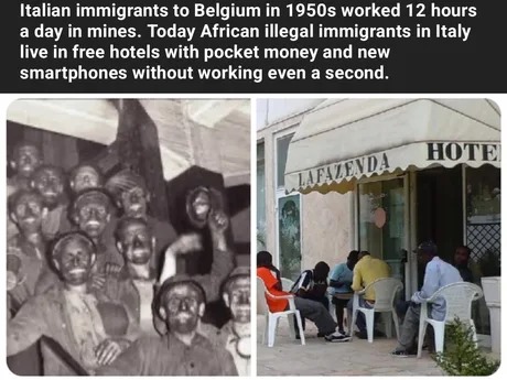 Immigrants in 1950s vs now - meme