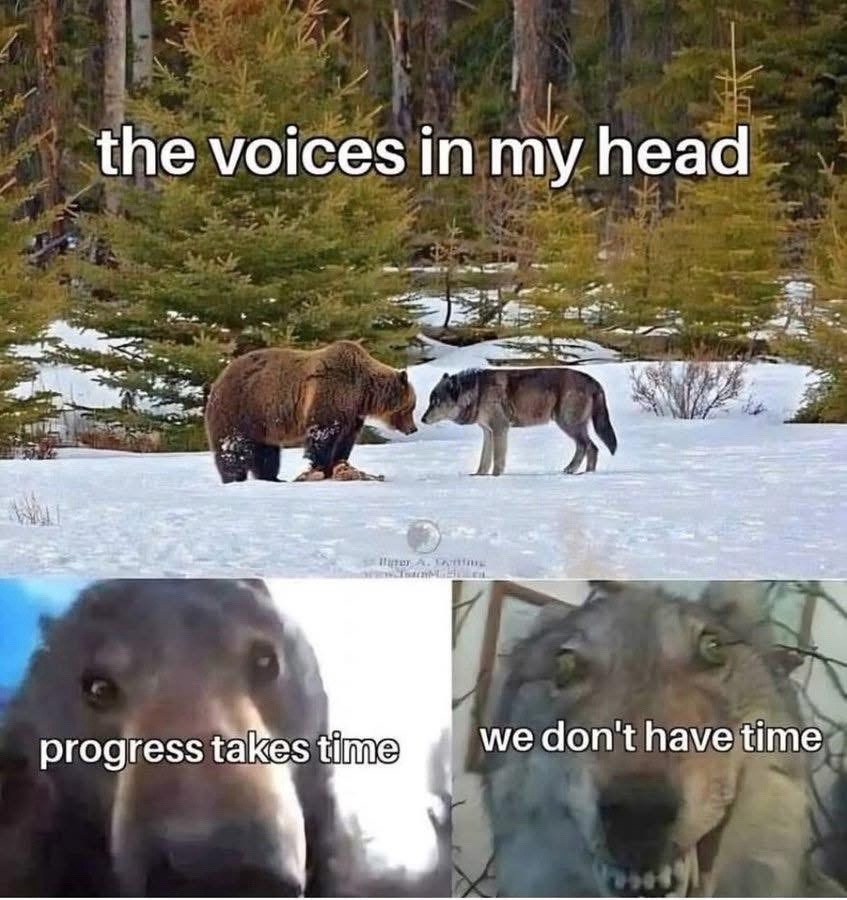 The voices: progress takes time. Also the voices: we don’t have time - meme