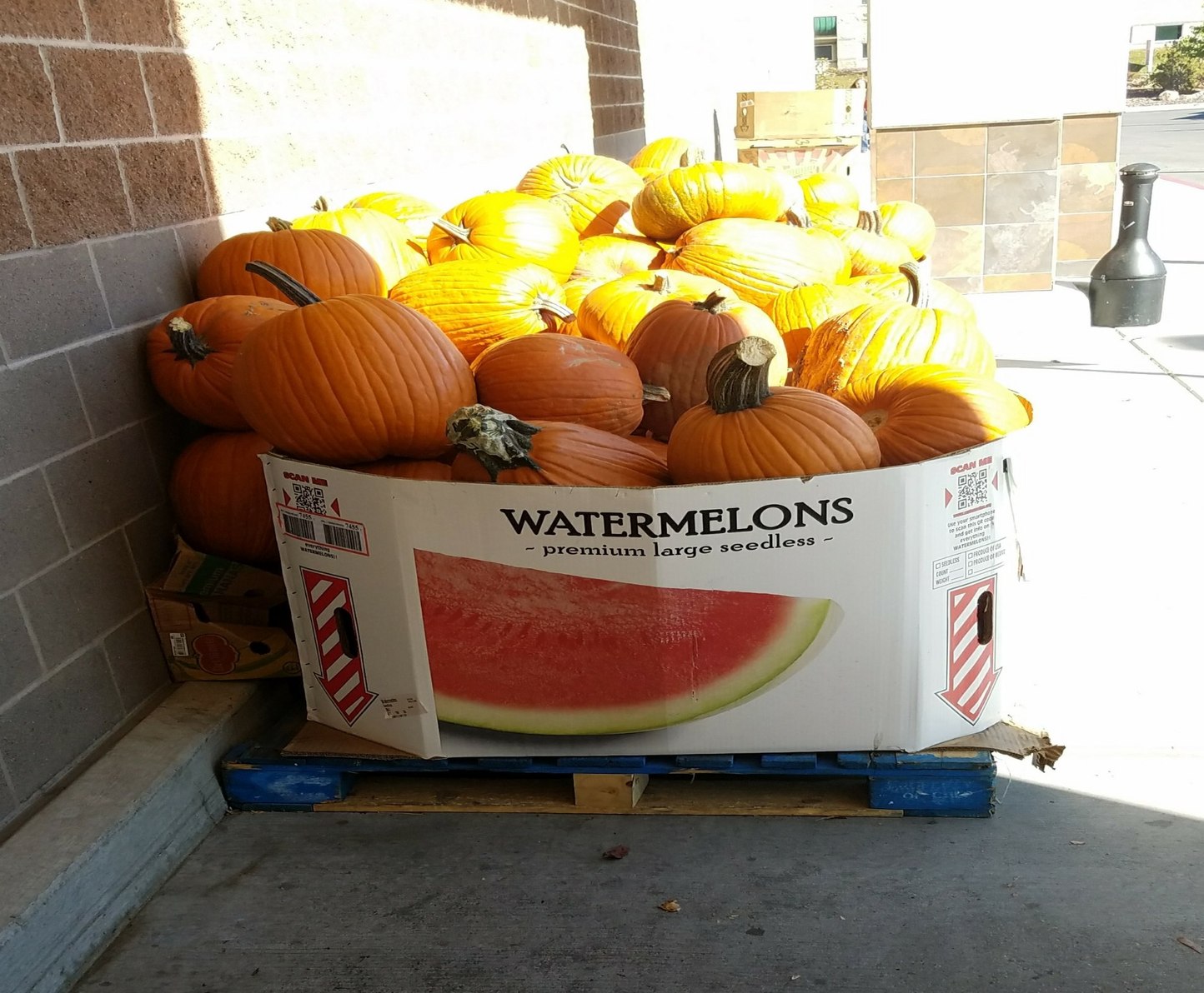 Spooky watermelon - meme