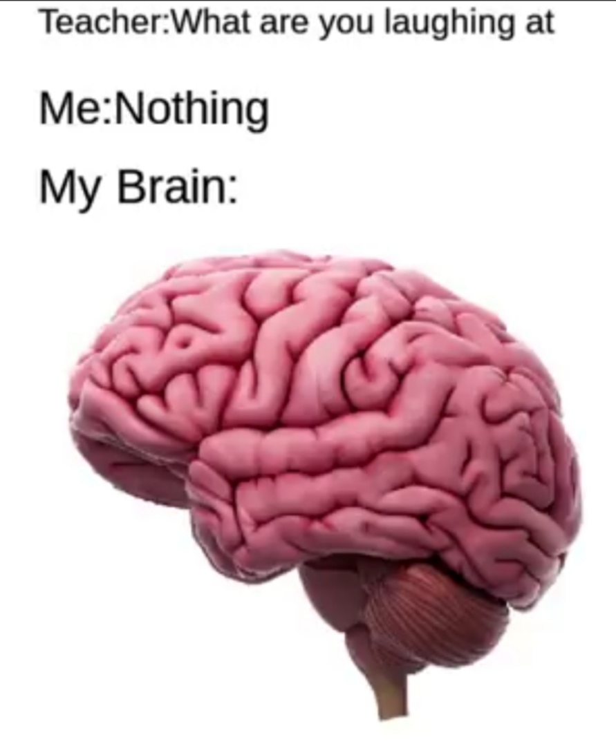 my brain, my title - meme