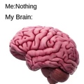 my brain, my title