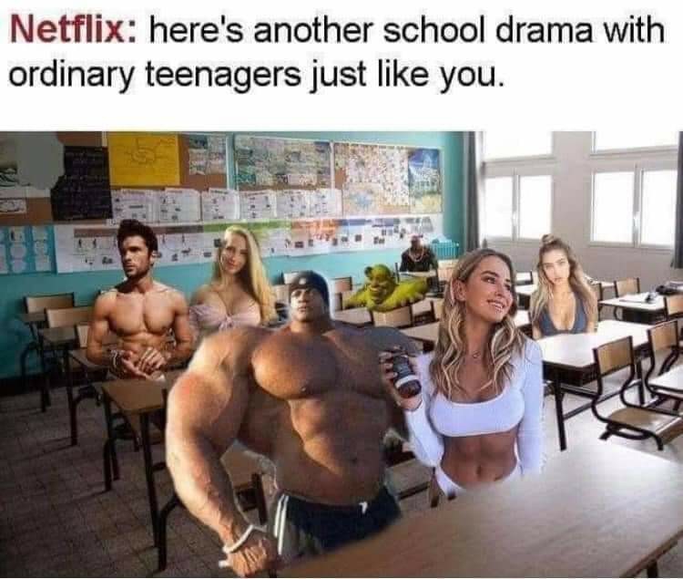 totally normal school - meme
