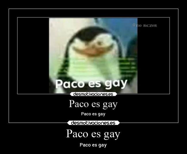 Paco es gay - meme