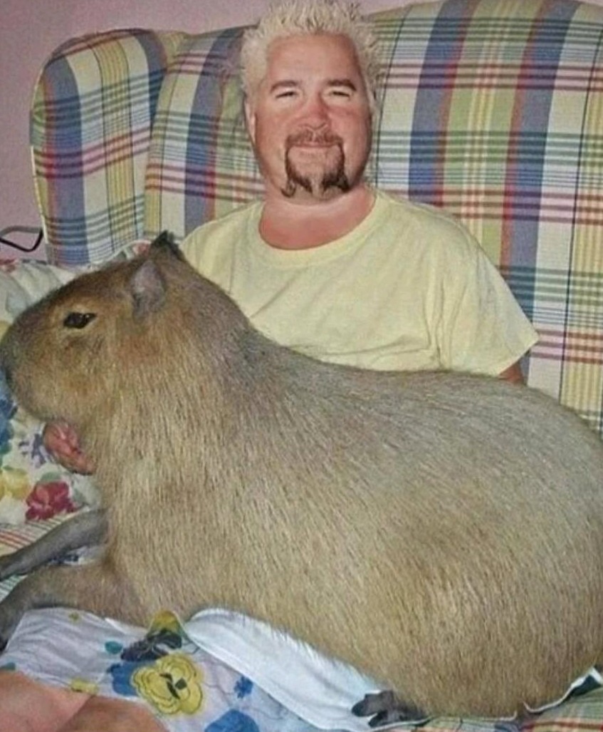 Here, take rare guy fieri with capybara image - meme