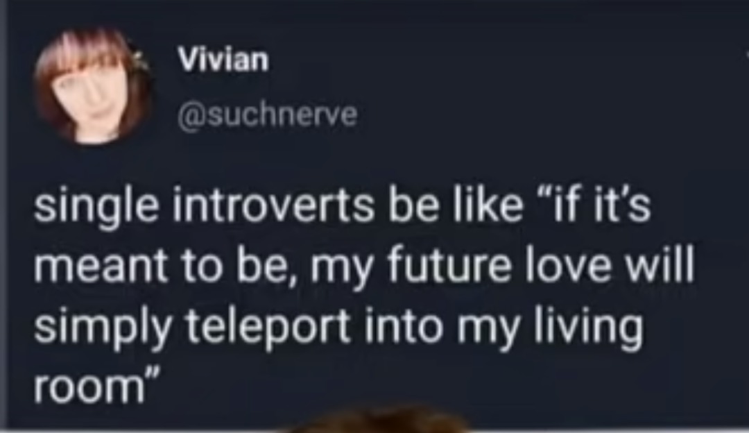 Introverts lol - meme