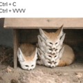 commented item thumbnail