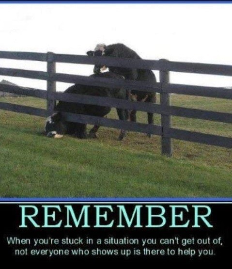 Remember - meme