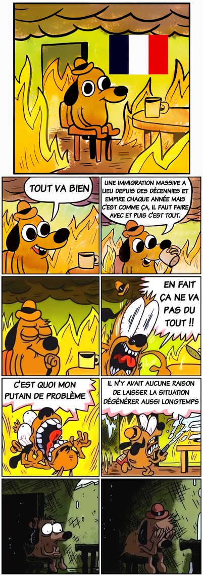 C'est tout juste si on peut réparer les pots cassés désormais - meme