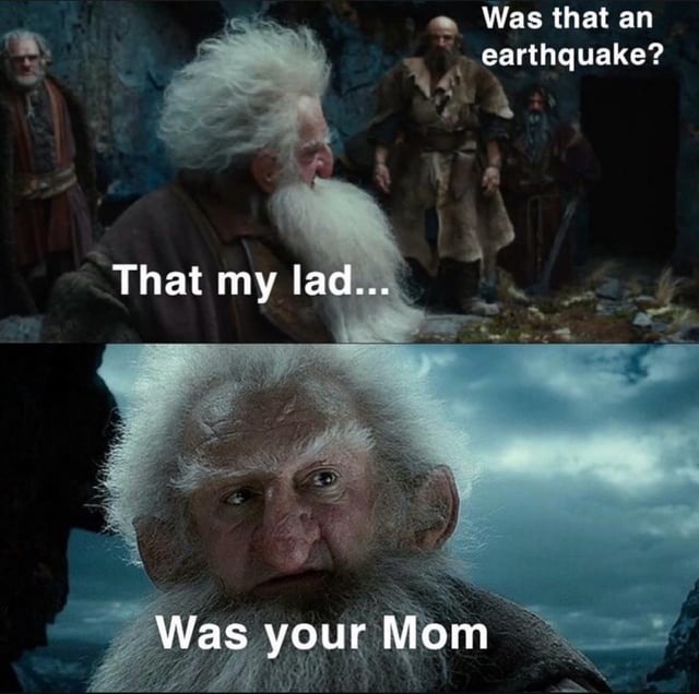 Was that an earthquake? Nah, just your mom - meme
