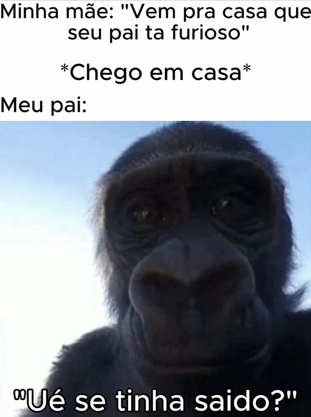 Titulo - meme