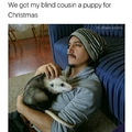 Thats a nice puppy