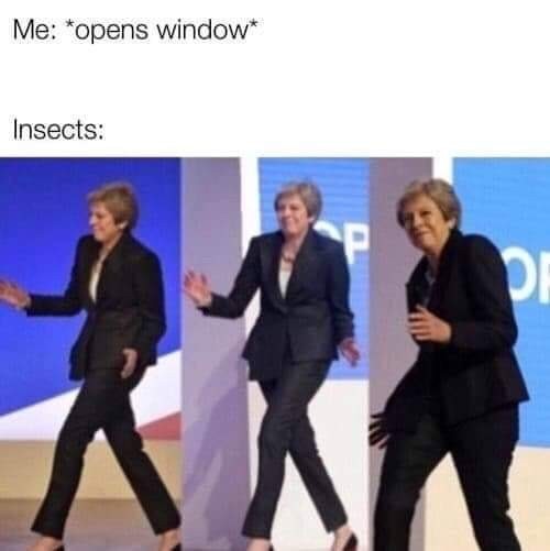 Damn bugs! - meme