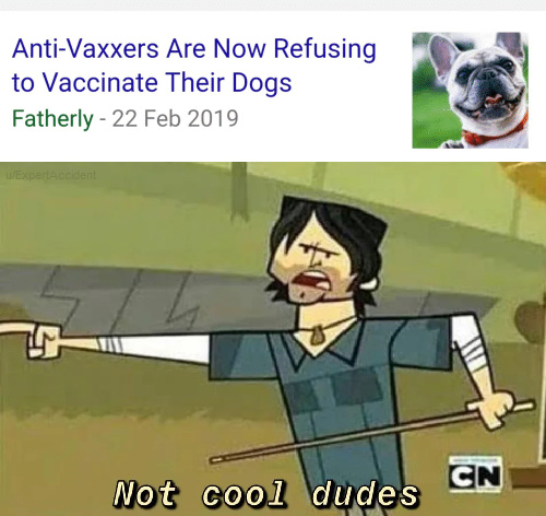 Vacina o cachorro krl - meme