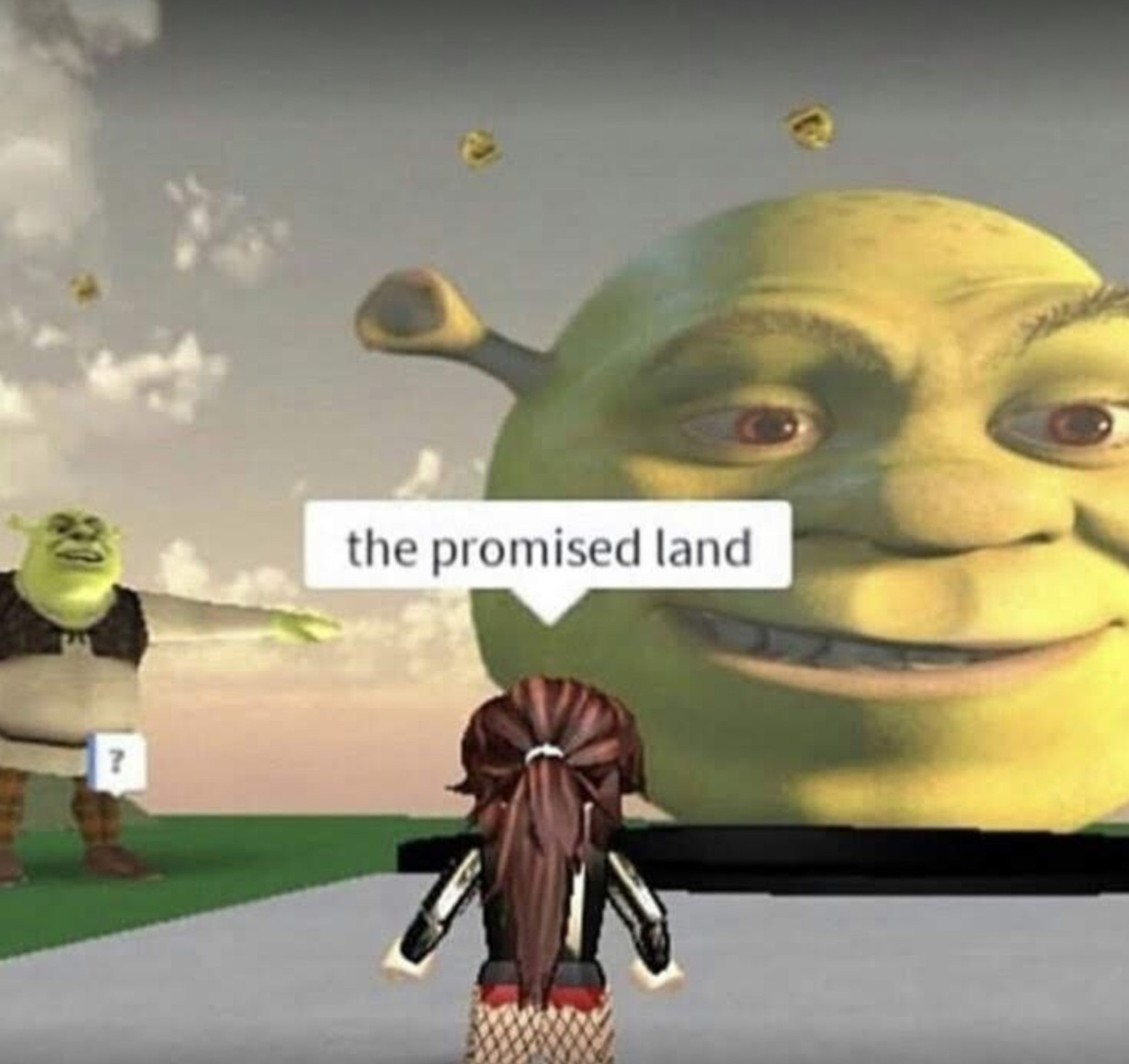 Roblox The Land Of Memes