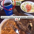 Remember kids we have to save marine animals