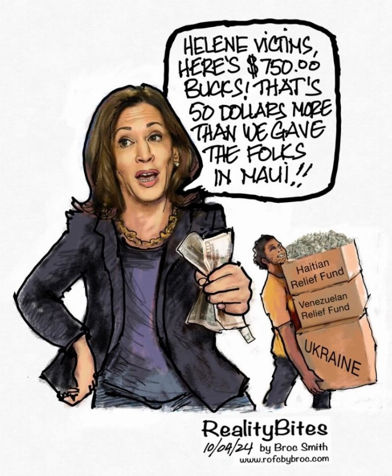 Democrats waging war on Americans AGAIN - meme