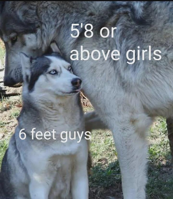 Girls when he's 5'8 vs 6 feet. The inches matter - meme
