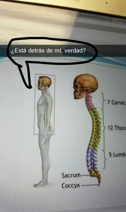 Que chido era modificar los libros educativos viejos del cole - meme