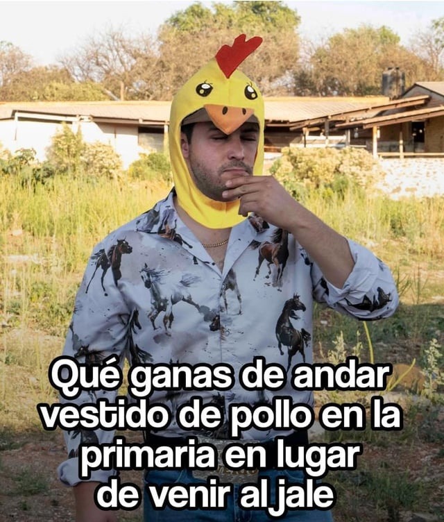 Andar disfrazado de pollo en la primaria y ahora madrugar pa' trabajar - meme