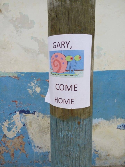 Gary vuelve plz - meme