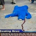 R.I.P cookie monster
