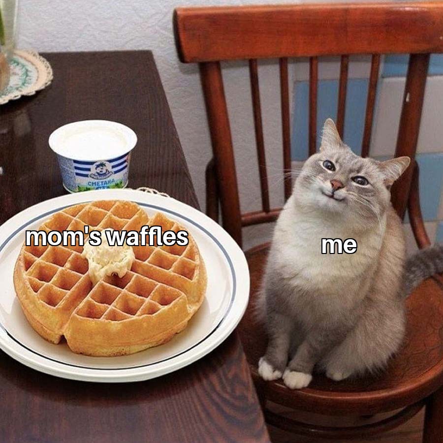 Waffles - meme