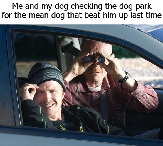 dog park - meme
