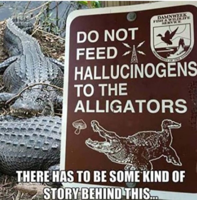 do not feed halluciongens to the alligators xD - meme
