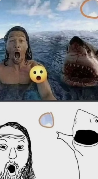 Meme random