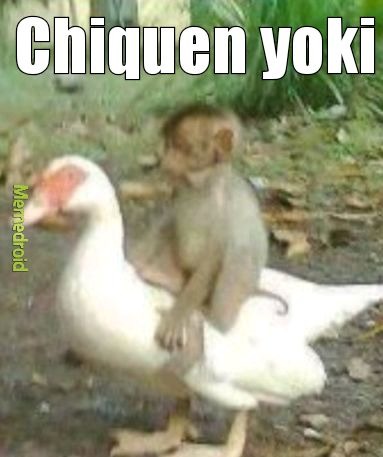 El título se fue a jugar maincra - meme