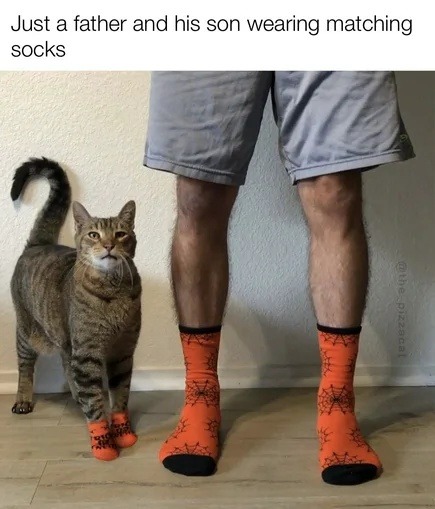 Just a dad and his mini-me rocking the same socks - meme