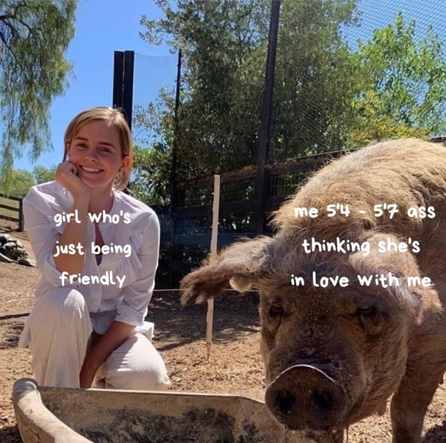 She’s just friendly, not in love with you - meme
