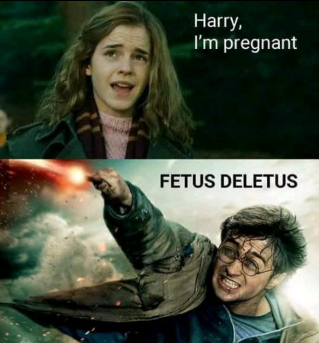 The best Harry Potter Memes memes :) Memedroid