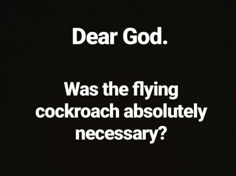 What would you ask God? - meme