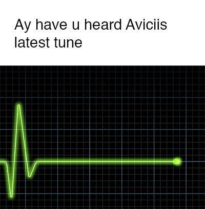 I still can't believe Avicii's gone. RIP to my childhood hero. - meme