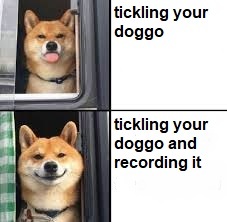 doggos are cute - meme