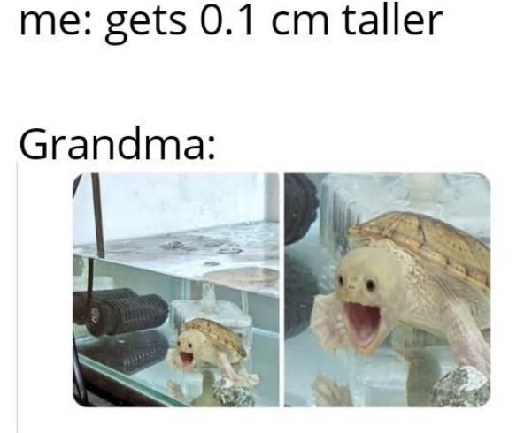 The awkwardness when grandparents say ‘oH yOu’Re sO BiG nOw’ - meme