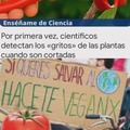 ¿Salvar al mundo o a los vegetales?