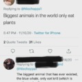 Biggest animals in the world only eat plants xd