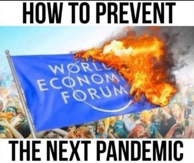 how to slow down the NWO - meme