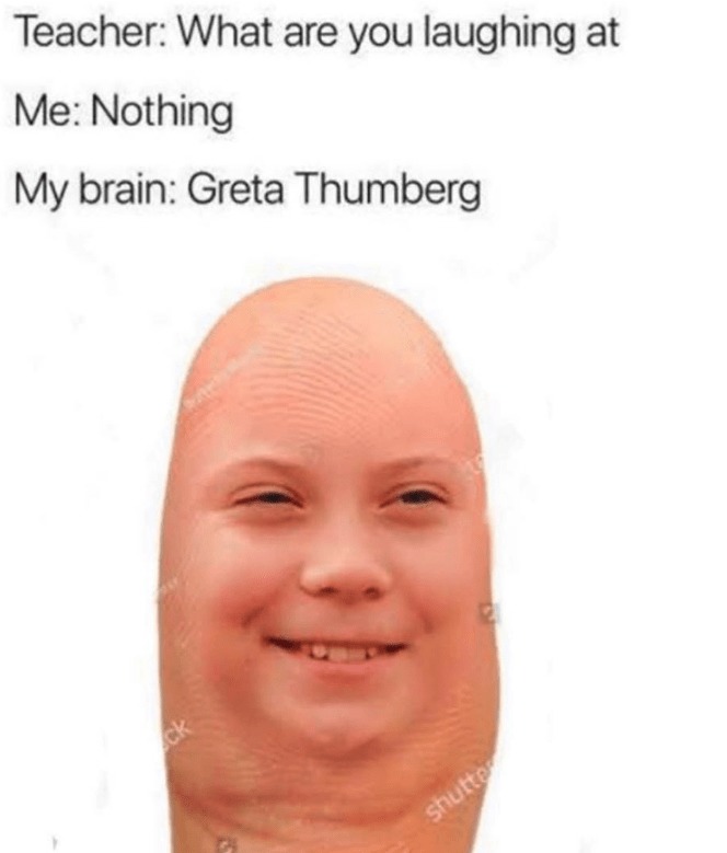 Screw Greta thunberg - meme