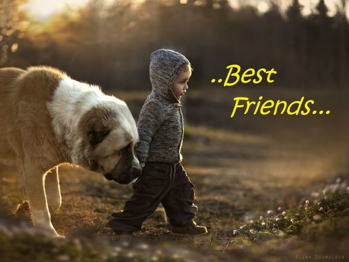 Best Friends - meme
